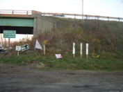 Somebody tore the YES on 1 sign down, lol